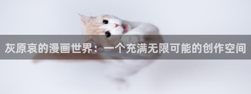土豪漫画布丁漫画免费
