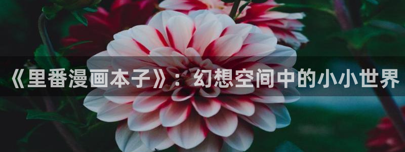 svip漫画免费下拉式土豪漫画
